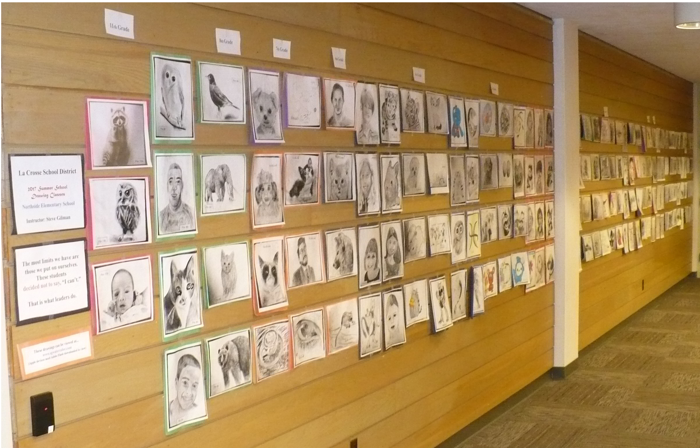 2017 Library Display